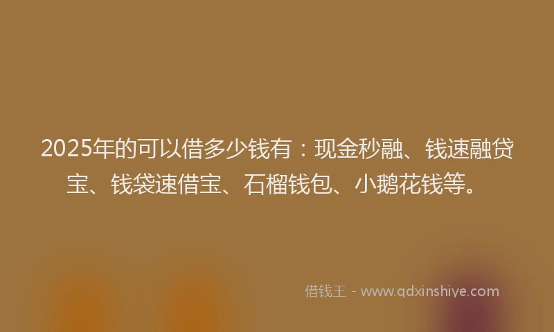 2025年的可以借多少钱有：现金秒融、钱速融贷宝、钱袋速借宝、石榴钱包、小鹅花钱等。
