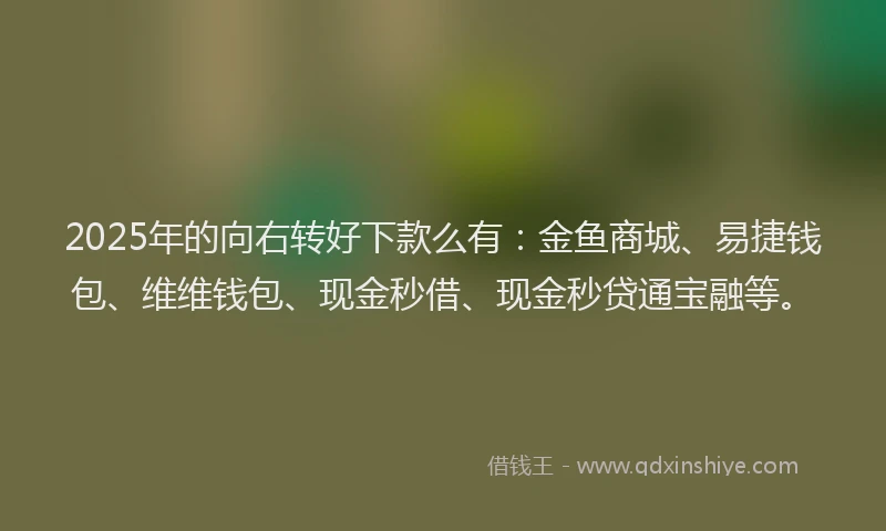 2025年的向右转好下款么有：金鱼商城、易捷钱包、维维钱包、现金秒借、现金秒贷通宝融等。