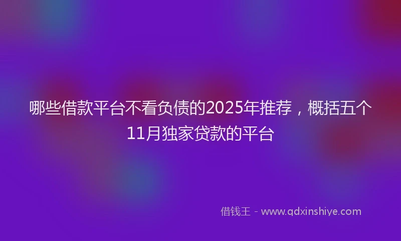 哪些借款平台不看负债的2025年推荐，概括五个11月独家贷款的平台