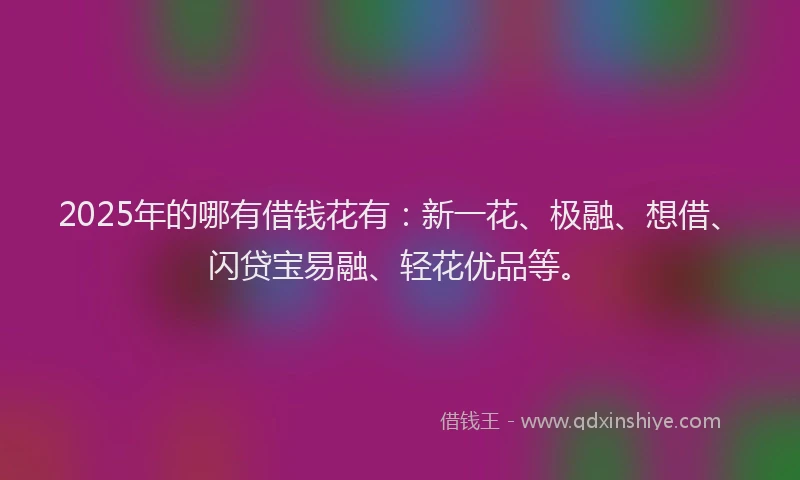 2025年的哪有借钱花有：新一花、极融、想借、闪贷宝易融、轻花优品等。