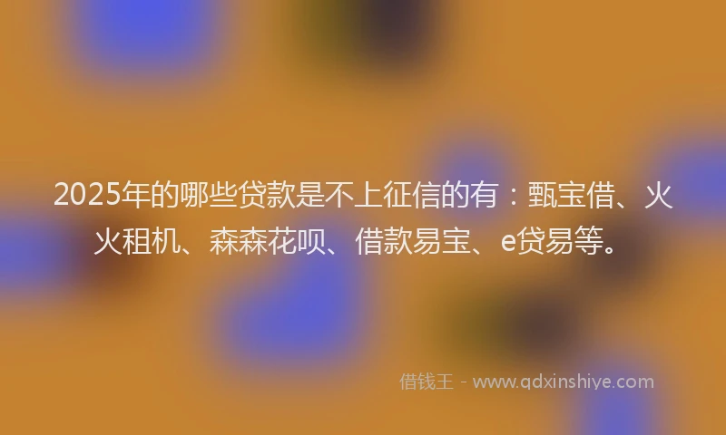 2025年的哪些贷款是不上征信的有：甄宝借、火火租机、森森花呗、借款易宝、e贷易等。