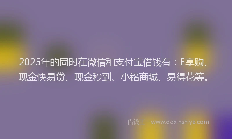 2025年的同时在微信和支付宝借钱有：E享购、现金快易贷、现金秒到、小铭商城、易得花等。
