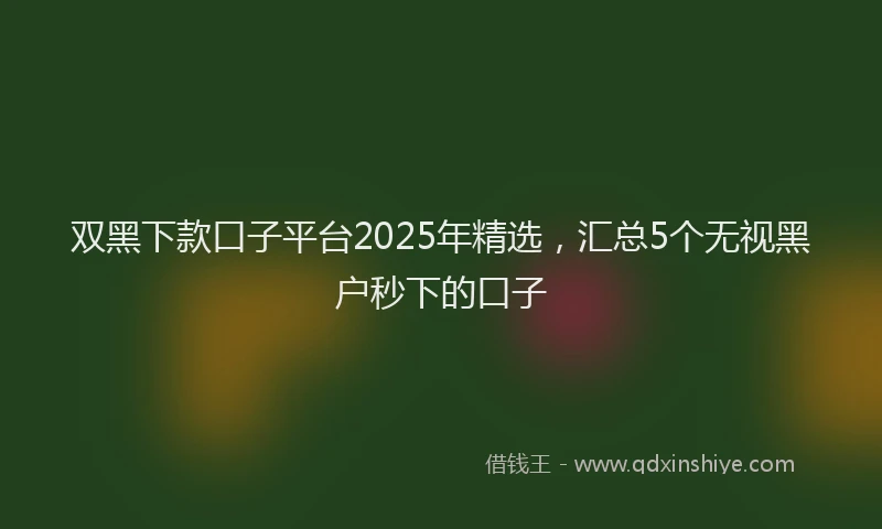 双黑下款口子平台2025年精选，汇总5个无视黑户秒下的口子