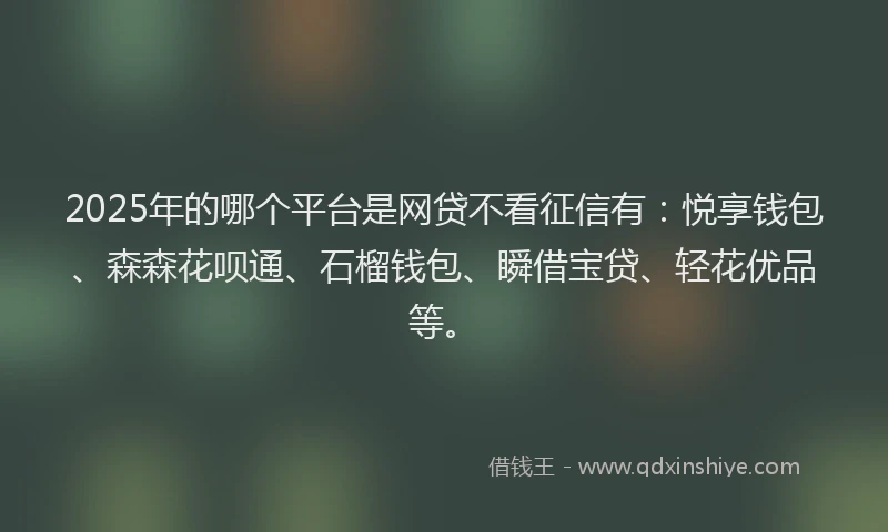 2025年的哪个平台是网贷不看征信有：悦享钱包、森森花呗通、石榴钱包、瞬借宝贷、轻花优品等。