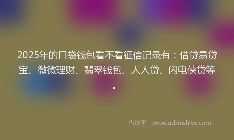 2025年的口袋钱包看不看征信记录有：借贷易贷宝、微微理财、翡翠钱包、人人贷、闪电侠贷等。