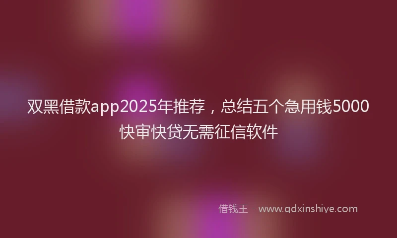 双黑借款app2025年推荐，总结五个急用钱5000快审快贷无需征信软件