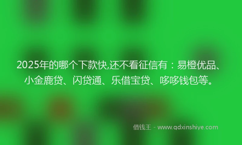 2025年的哪个下款快,还不看征信有：易橙优品、小金鹿贷、闪贷通、乐借宝贷、哆哆钱包等。