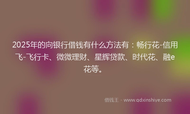 2025年的向银行借钱有什么方法有：畅行花-信用飞-飞行卡、微微理财、星辉贷款、时代花、融e花等。