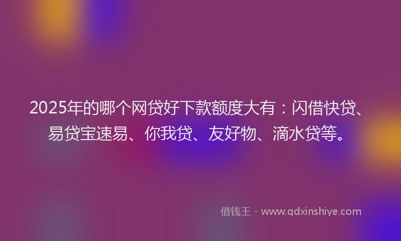 2025年的哪个网贷好下款额度大有：闪借快贷、易贷宝速易、你我贷、友好物、滴水贷等。