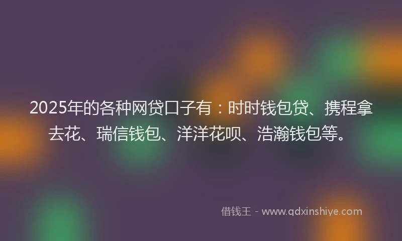 2025年的各种网贷口子有：时时钱包贷、携程拿去花、瑞信钱包、洋洋花呗、浩瀚钱包等。