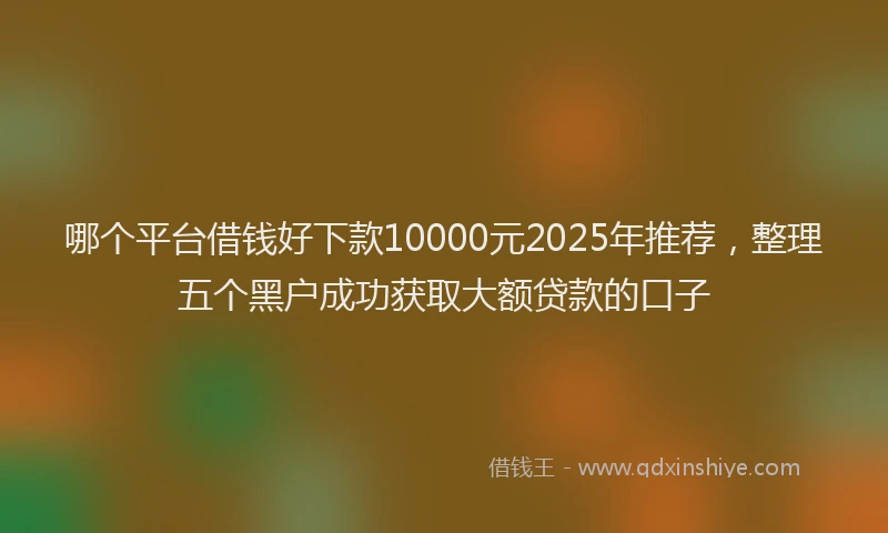 哪个平台借钱好下款10000元2025年推荐，整理五个黑户成功获取大额贷款的口子