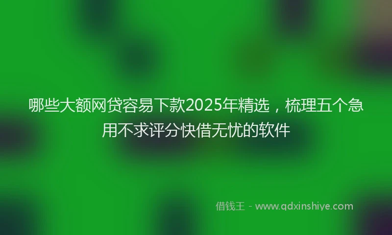 哪些大额网贷容易下款2025年精选，梳理五个急用不求评分快借无忧的软件