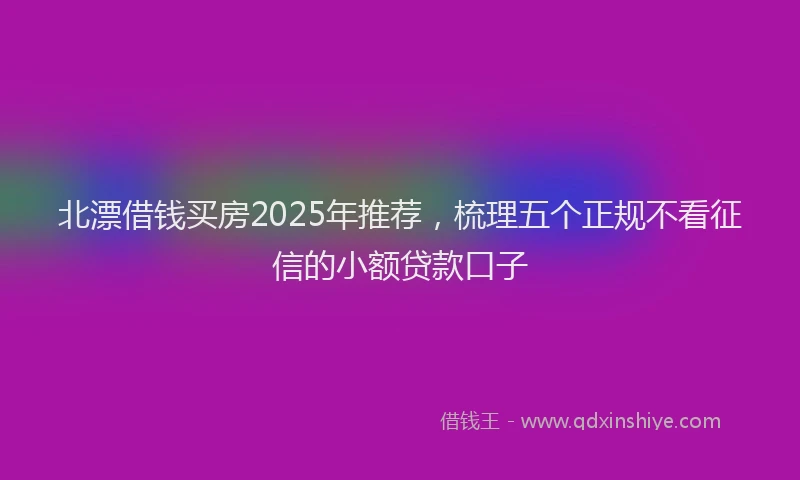 北漂借钱买房2025年推荐，梳理五个正规不看征信的小额贷款口子