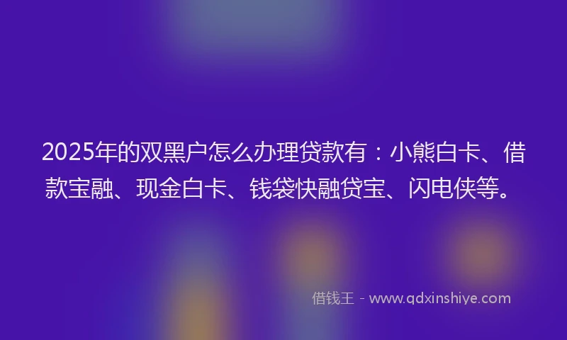 2025年的双黑户怎么办理贷款有：小熊白卡、借款宝融、现金白卡、钱袋快融贷宝、闪电侠等。
