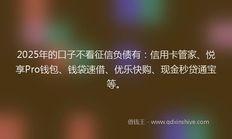 2025年的口子不看征信负债有：信用卡管家、悦享Pro钱包、钱袋速借、优乐快购、现金秒贷通宝等。