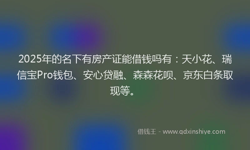 2025年的名下有房产证能借钱吗有：天小花、瑞信宝Pro钱包、安心贷融、森森花呗、京东白条取现等。