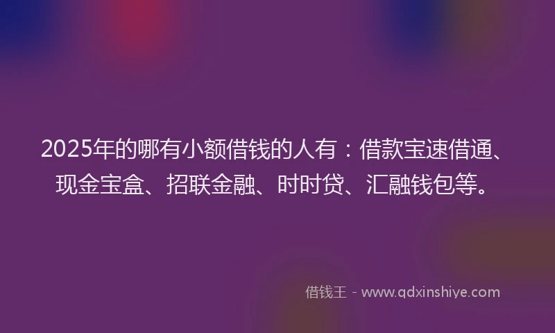 2025年的哪有小额借钱的人有：借款宝速借通、现金宝盒、招联金融、时时贷、汇融钱包等。