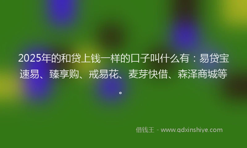 2025年的和贷上钱一样的口子叫什么有：易贷宝速易、臻享购、戒易花、麦芽快借、森泽商城等。