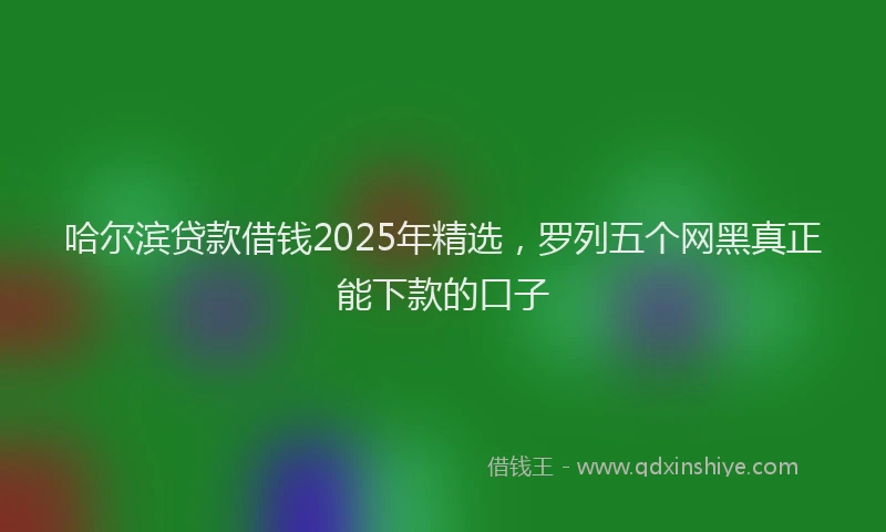 哈尔滨贷款借钱2025年精选，罗列五个网黑真正能下款的口子