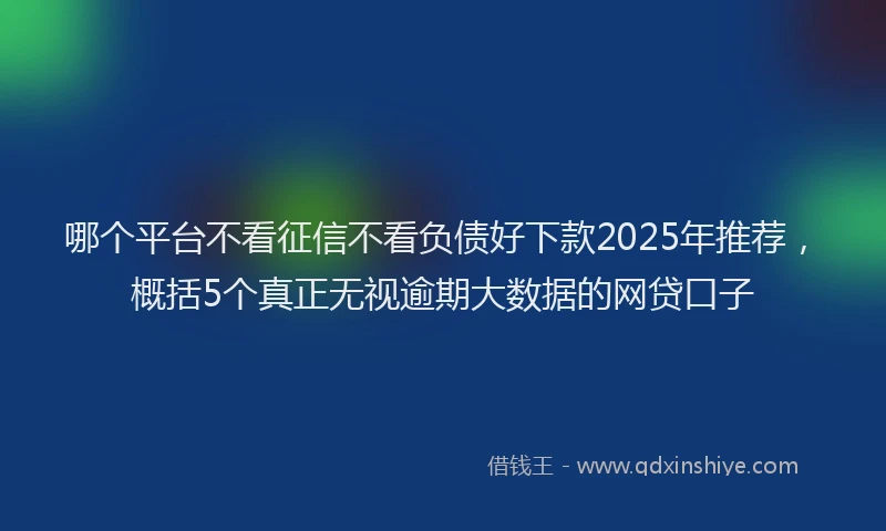 哪个平台不看征信不看负债好下款2025年推荐，概括5个真正无视逾期大数据的网贷口子