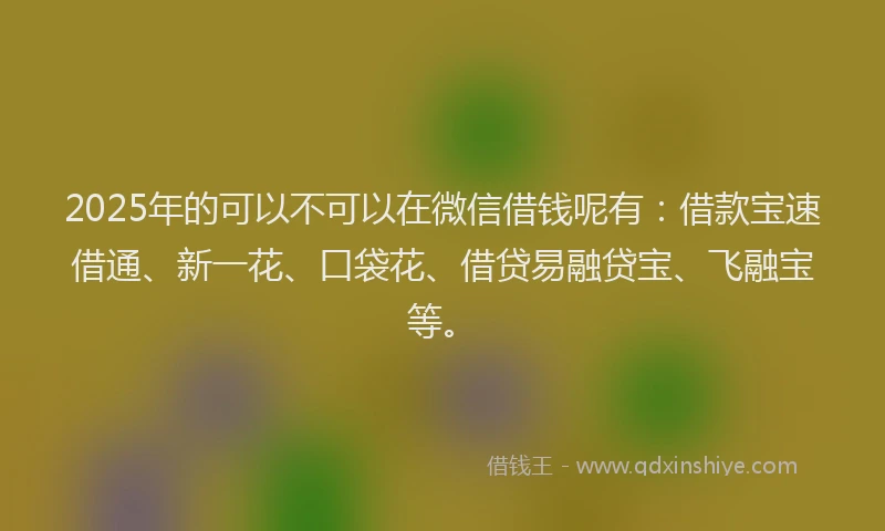 2025年的可以不可以在微信借钱呢有：借款宝速借通、新一花、口袋花、借贷易融贷宝、飞融宝等。