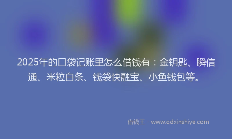2025年的口袋记账里怎么借钱有：金钥匙、瞬信通、米粒白条、钱袋快融宝、小鱼钱包等。