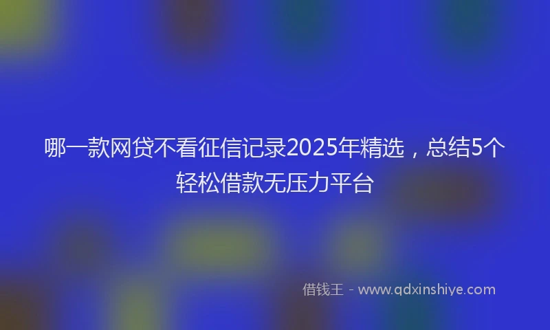 哪一款网贷不看征信记录2025年精选，总结5个轻松借款无压力平台