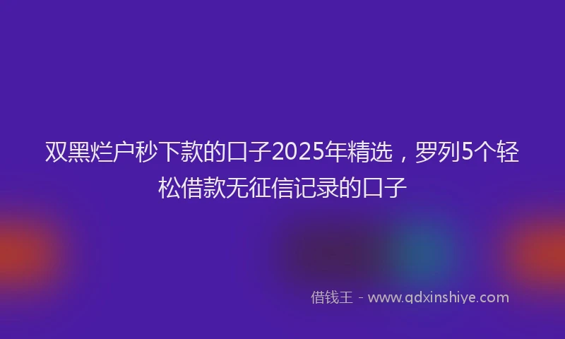 双黑烂户秒下款的口子2025年精选，罗列5个轻松借款无征信记录的口子