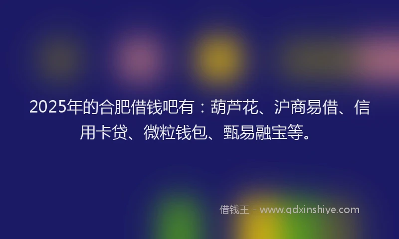 2025年的合肥借钱吧有：葫芦花、沪商易借、信用卡贷、微粒钱包、甄易融宝等。
