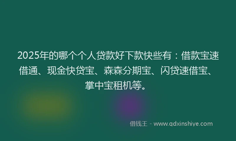 2025年的哪个个人贷款好下款快些有：借款宝速借通、现金快贷宝、森森分期宝、闪贷速借宝、掌中宝租机等。