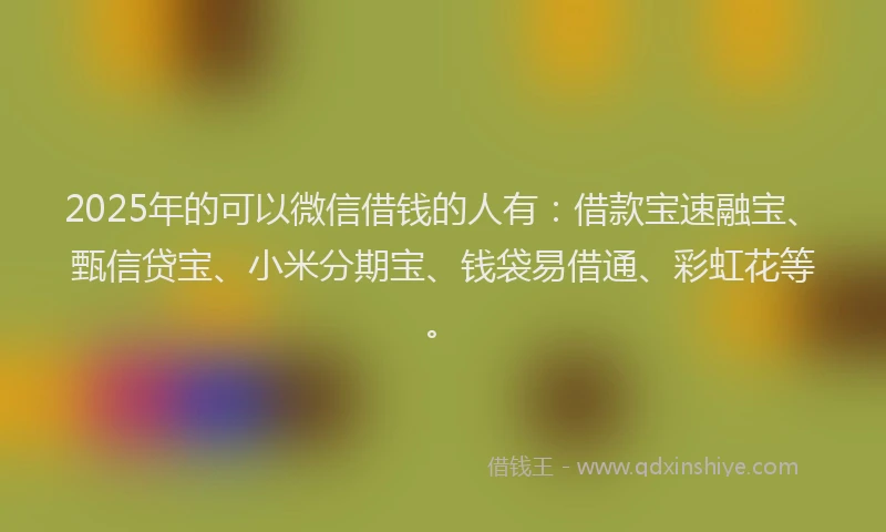 2025年的可以微信借钱的人有：借款宝速融宝、甄信贷宝、小米分期宝、钱袋易借通、彩虹花等。
