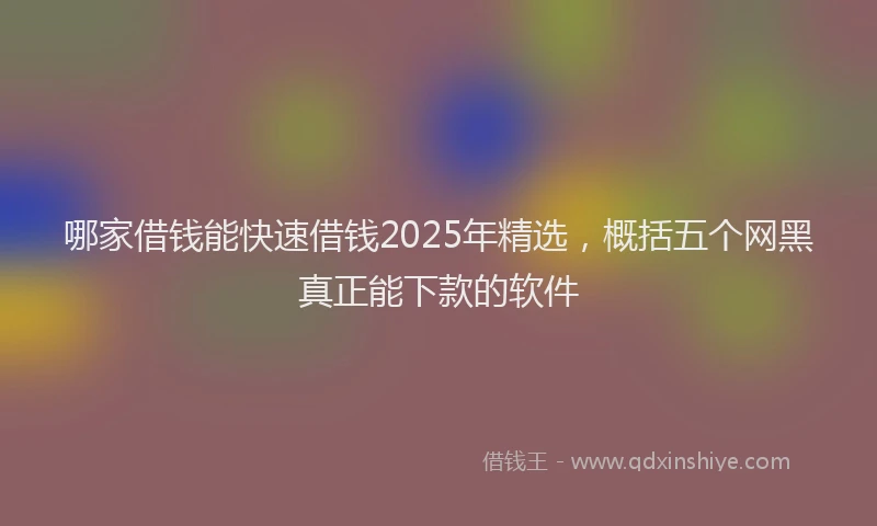 哪家借钱能快速借钱2025年精选，概括五个网黑真正能下款的软件