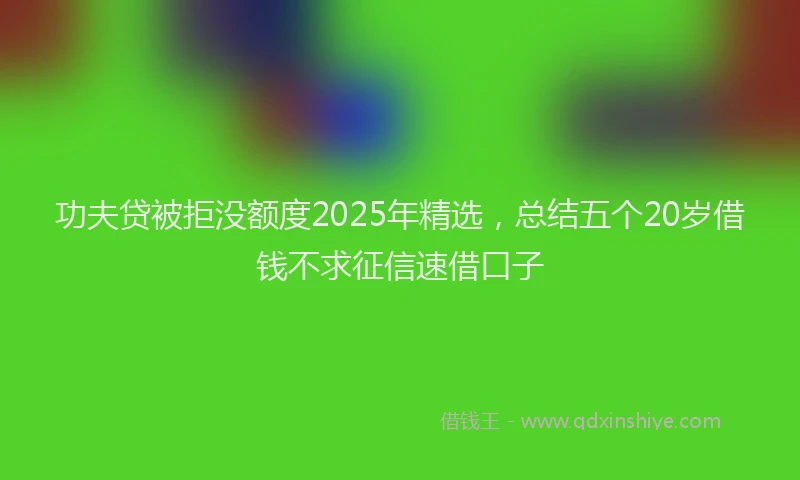 功夫贷被拒没额度2025年精选，总结五个20岁借钱不求征信速借口子