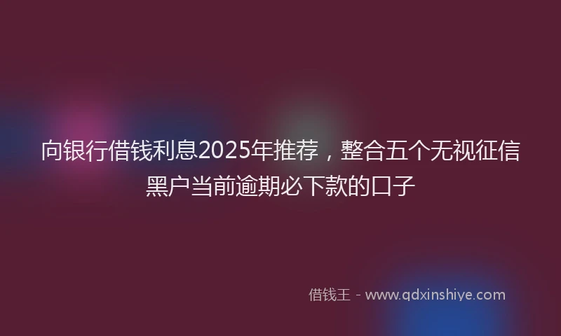 向银行借钱利息2025年推荐，整合五个无视征信黑户当前逾期必下款的口子