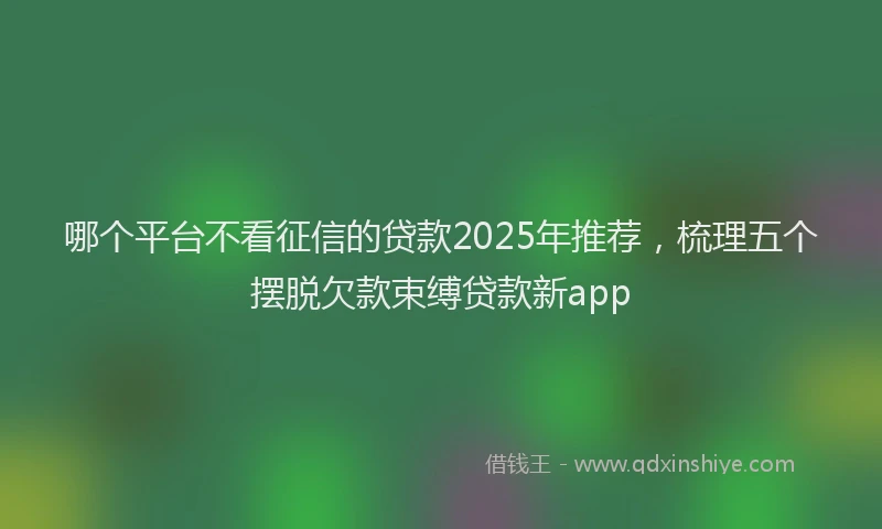 哪个平台不看征信的贷款2025年推荐，梳理五个摆脱欠款束缚贷款新app