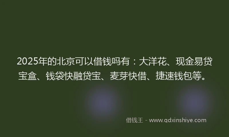 2025年的北京可以借钱吗有：大洋花、现金易贷宝盒、钱袋快融贷宝、麦芽快借、捷速钱包等。