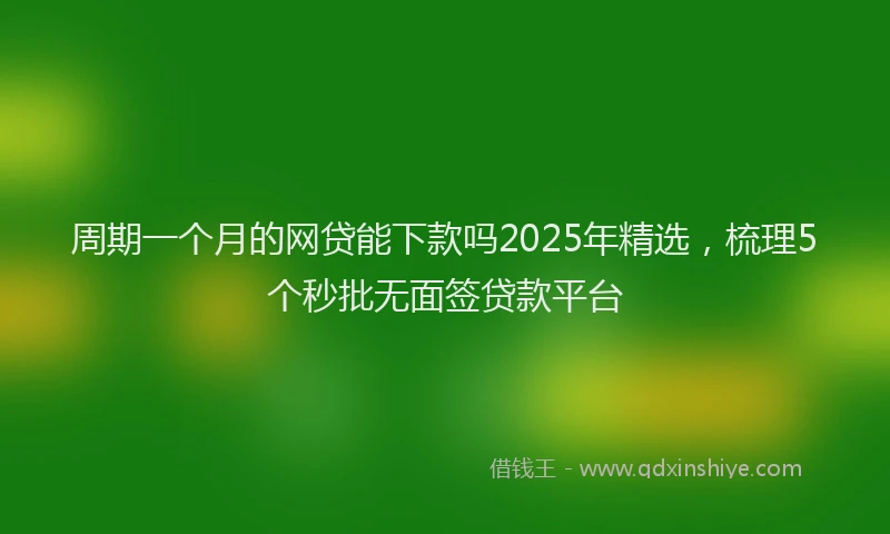 周期一个月的网贷能下款吗2025年精选，梳理5个秒批无面签贷款平台