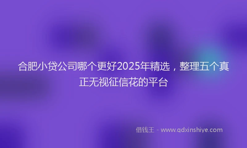 合肥小贷公司哪个更好2025年精选，整理五个真正无视征信花的平台