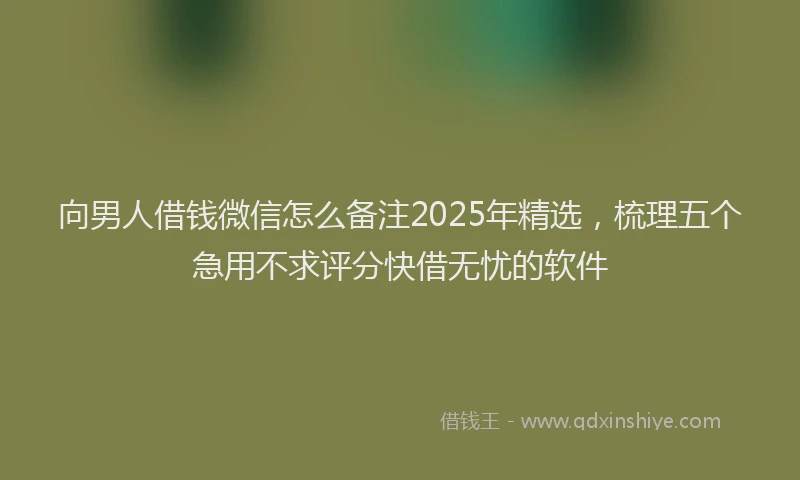向男人借钱微信怎么备注2025年精选，梳理五个急用不求评分快借无忧的软件