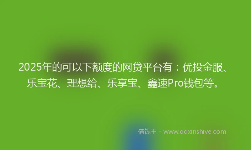 2025年的可以下额度的网贷平台有：优投金服、乐宝花、理想给、乐享宝、鑫速Pro钱包等。
