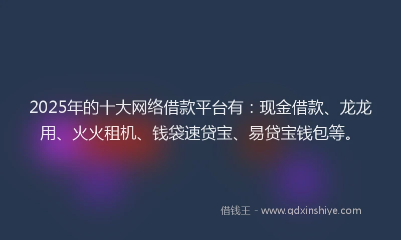 2025年的十大网络借款平台有：现金借款、龙龙用、火火租机、钱袋速贷宝、易贷宝钱包等。