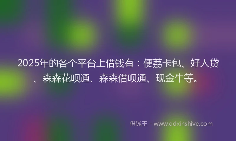 2025年的各个平台上借钱有：便荔卡包、好人贷、森森花呗通、森森借呗通、现金牛等。