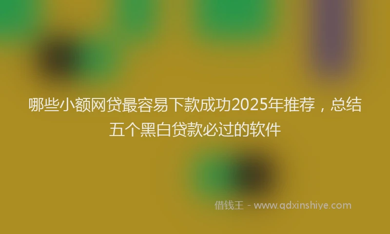 哪些小额网贷最容易下款成功2025年推荐，总结五个黑白贷款必过的软件