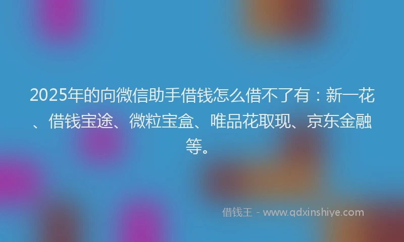 2025年的向微信助手借钱怎么借不了有：新一花、借钱宝途、微粒宝盒、唯品花取现、京东金融等。