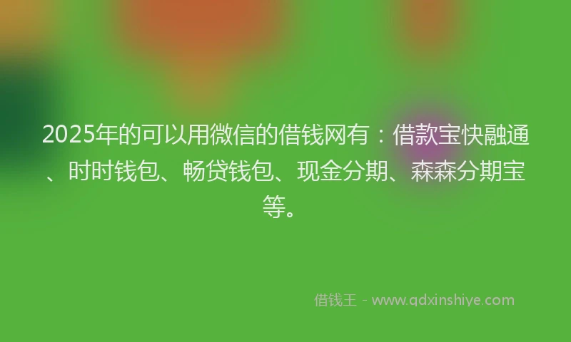 2025年的可以用微信的借钱网有：借款宝快融通、时时钱包、畅贷钱包、现金分期、森森分期宝等。