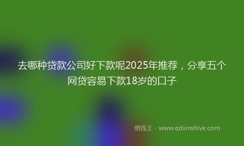去哪种贷款公司好下款呢2025年推荐，分享五个网贷容易下款18岁的口子