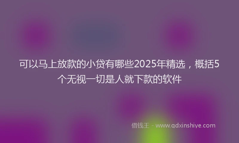 可以马上放款的小贷有哪些2025年精选，概括5个无视一切是人就下款的软件