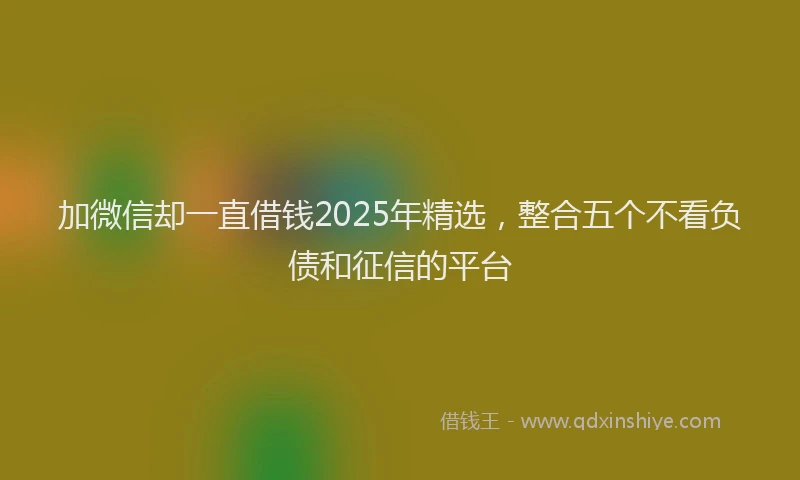 加微信却一直借钱2025年精选，整合五个不看负债和征信的平台