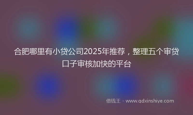 合肥哪里有小贷公司2025年推荐，整理五个审贷口子审核加快的平台