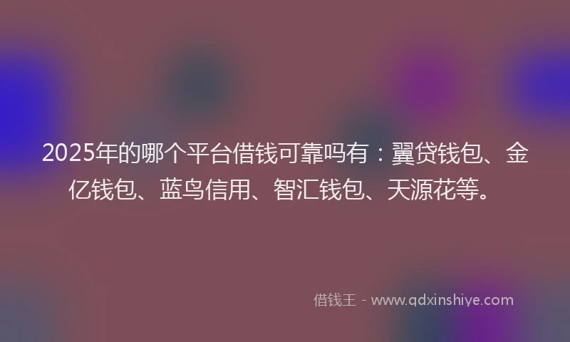 2025年的哪个平台借钱可靠吗有：翼贷钱包、金亿钱包、蓝鸟信用、智汇钱包、天源花等。